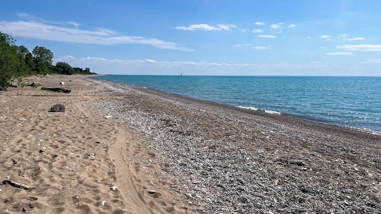 Photo of Others in Bayfield