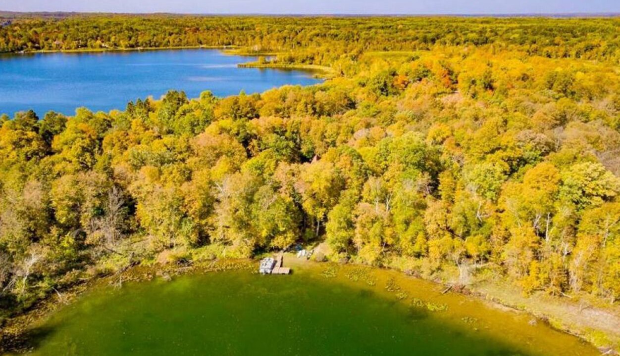 Photo of Outdoor in Pequot Lakes