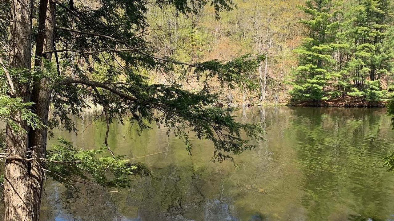 Photo of Outdoor in Rideau Lakes