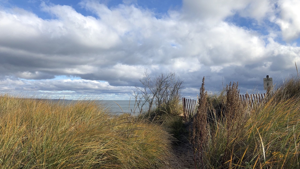 Photo of Outdoor in Park Point