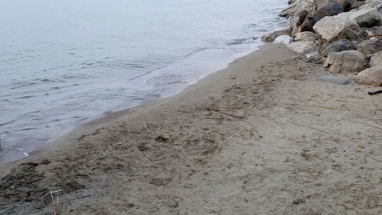 Photo of Others in Lighthouse Cove