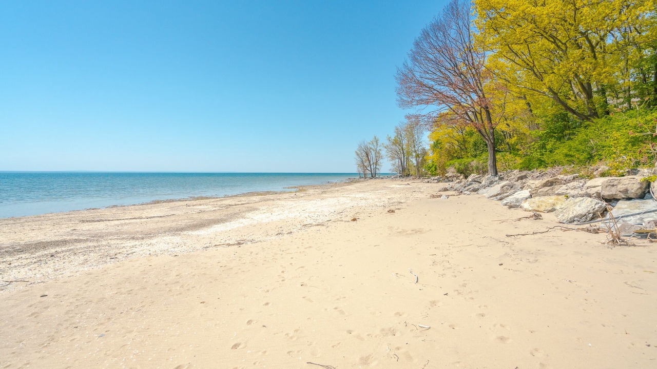 Photo of Others in Fort Erie