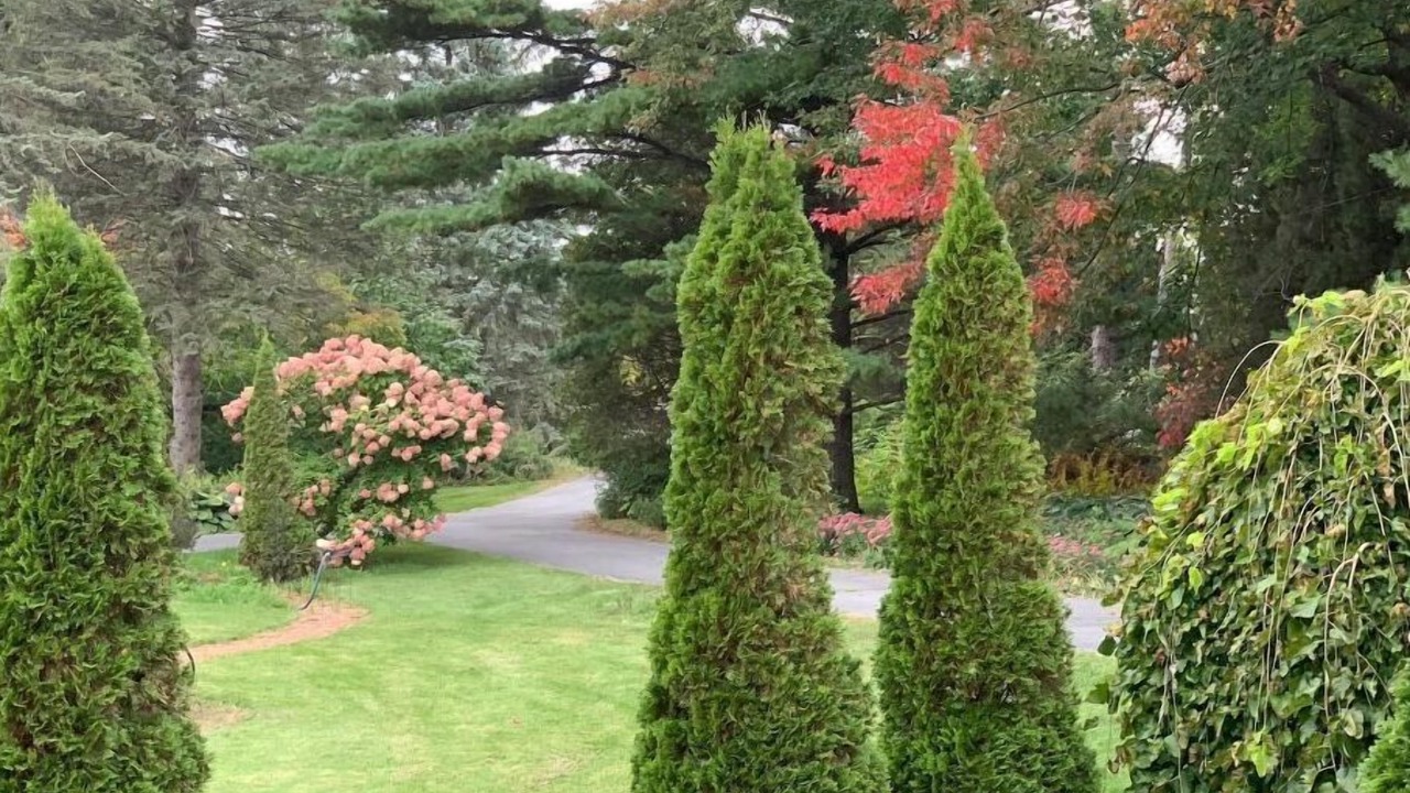 Photo of Others in South Glengarry