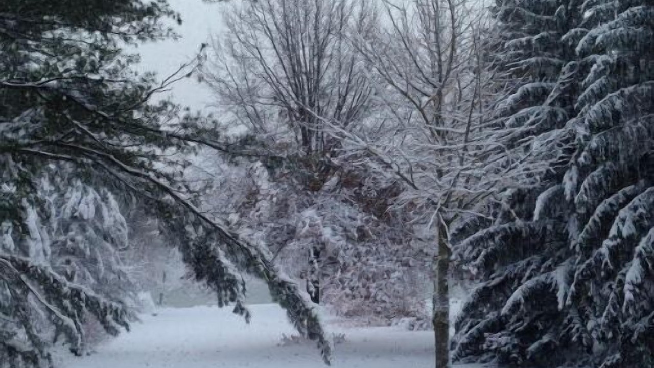 Photo of Others in South Glengarry