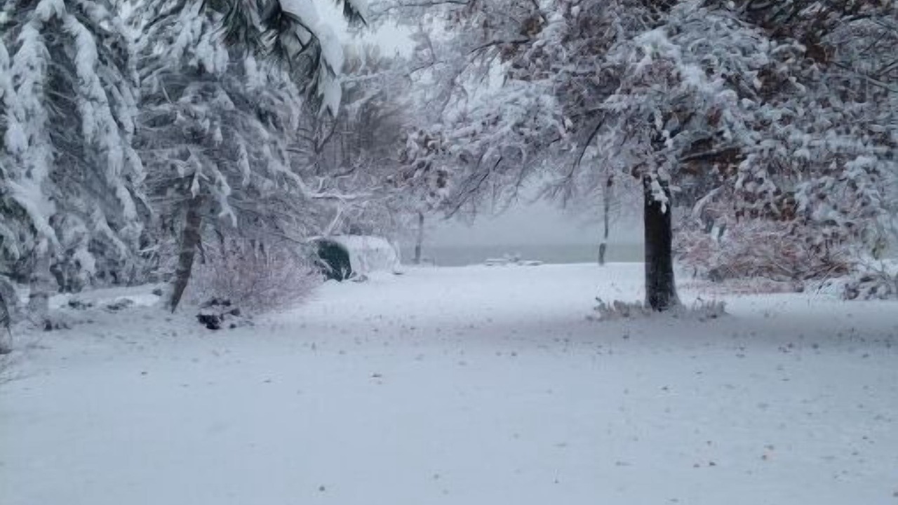 Photo of Others in South Glengarry