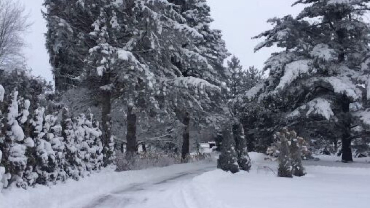Photo of Others in South Glengarry