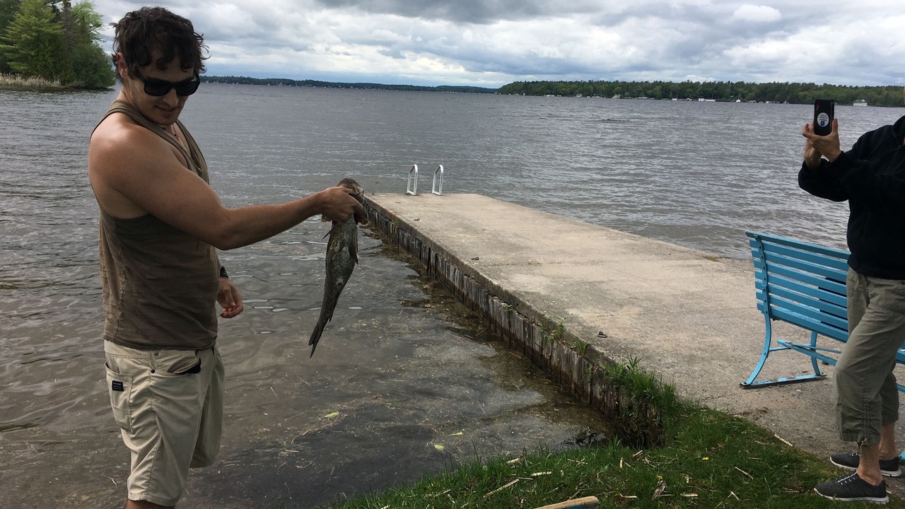 Photo of Others in Lindsay