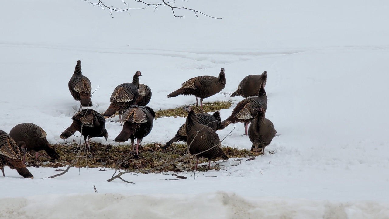 Photo of Others in Lindsay