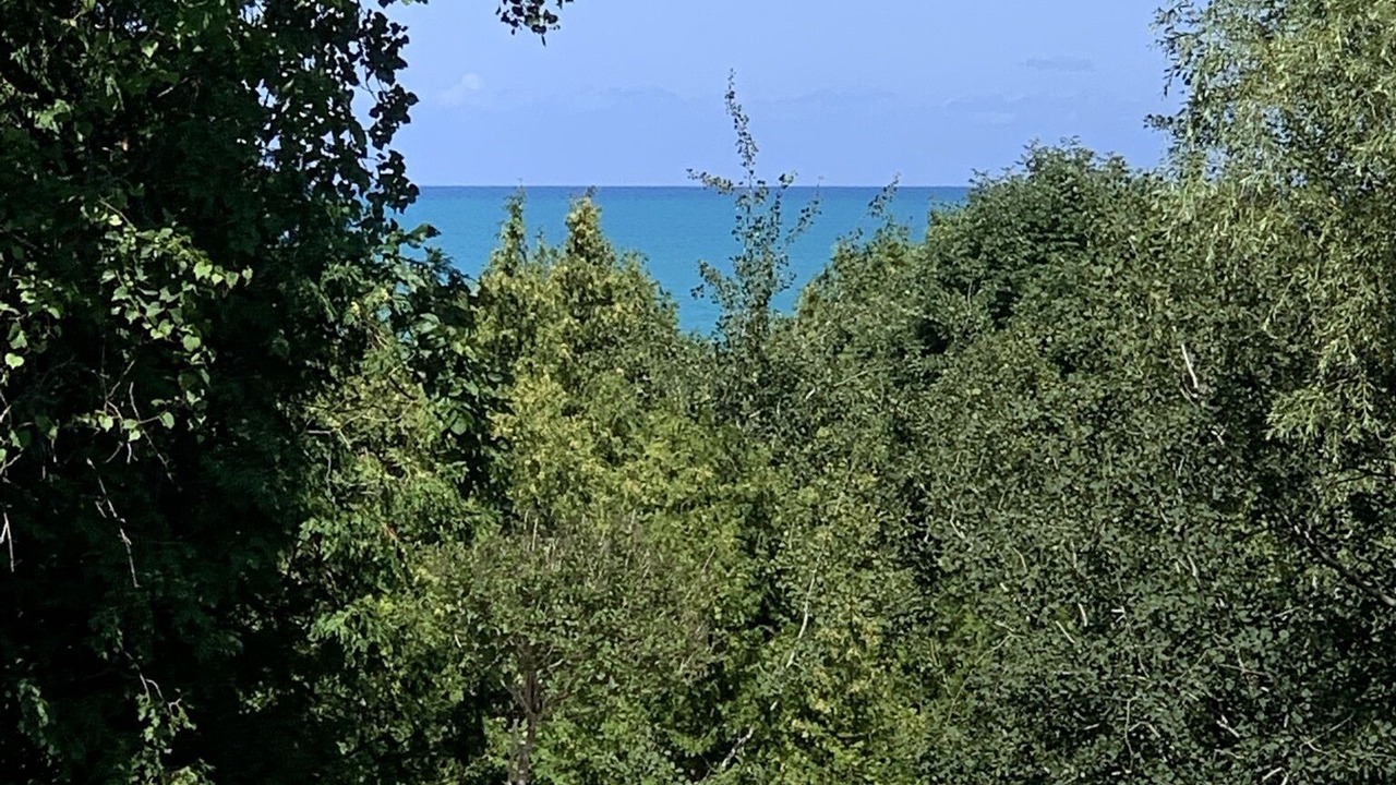 Photo of Outdoor in Bluewater