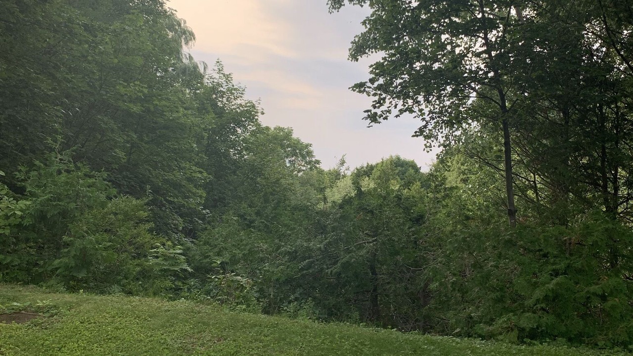 Photo of Outdoor in Bluewater