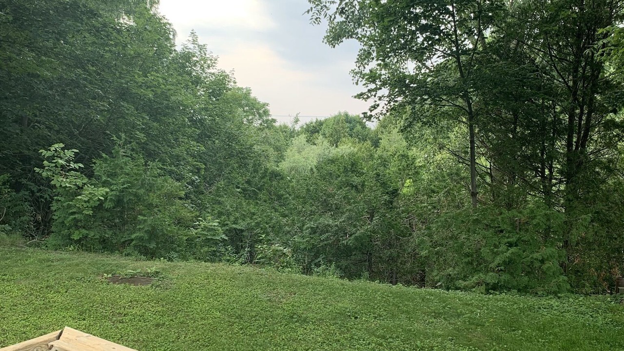 Photo of Outdoor in Bluewater