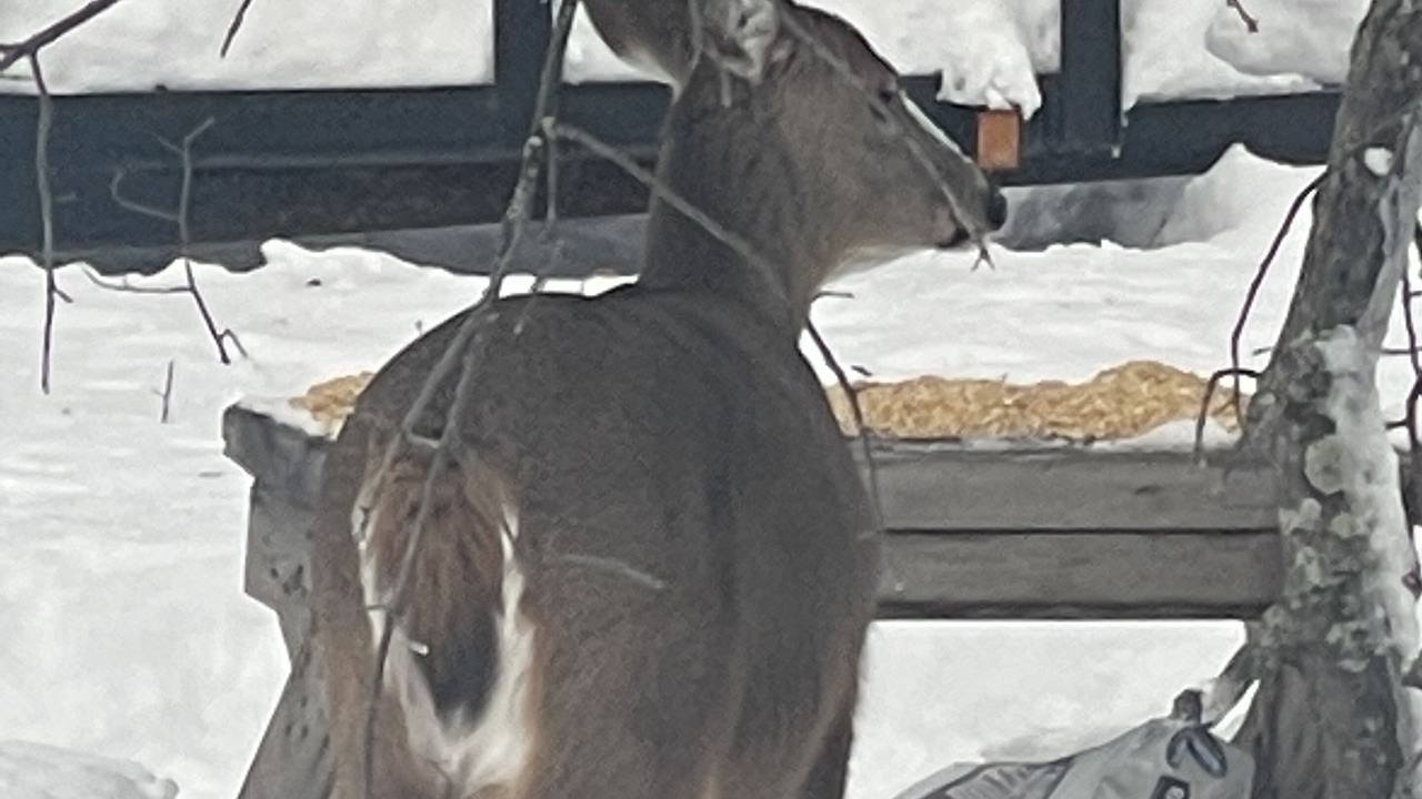 Photo of Others in Kerrick