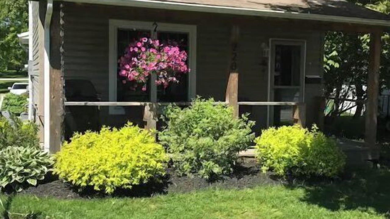 Photo of Outdoor in Shallow Lake