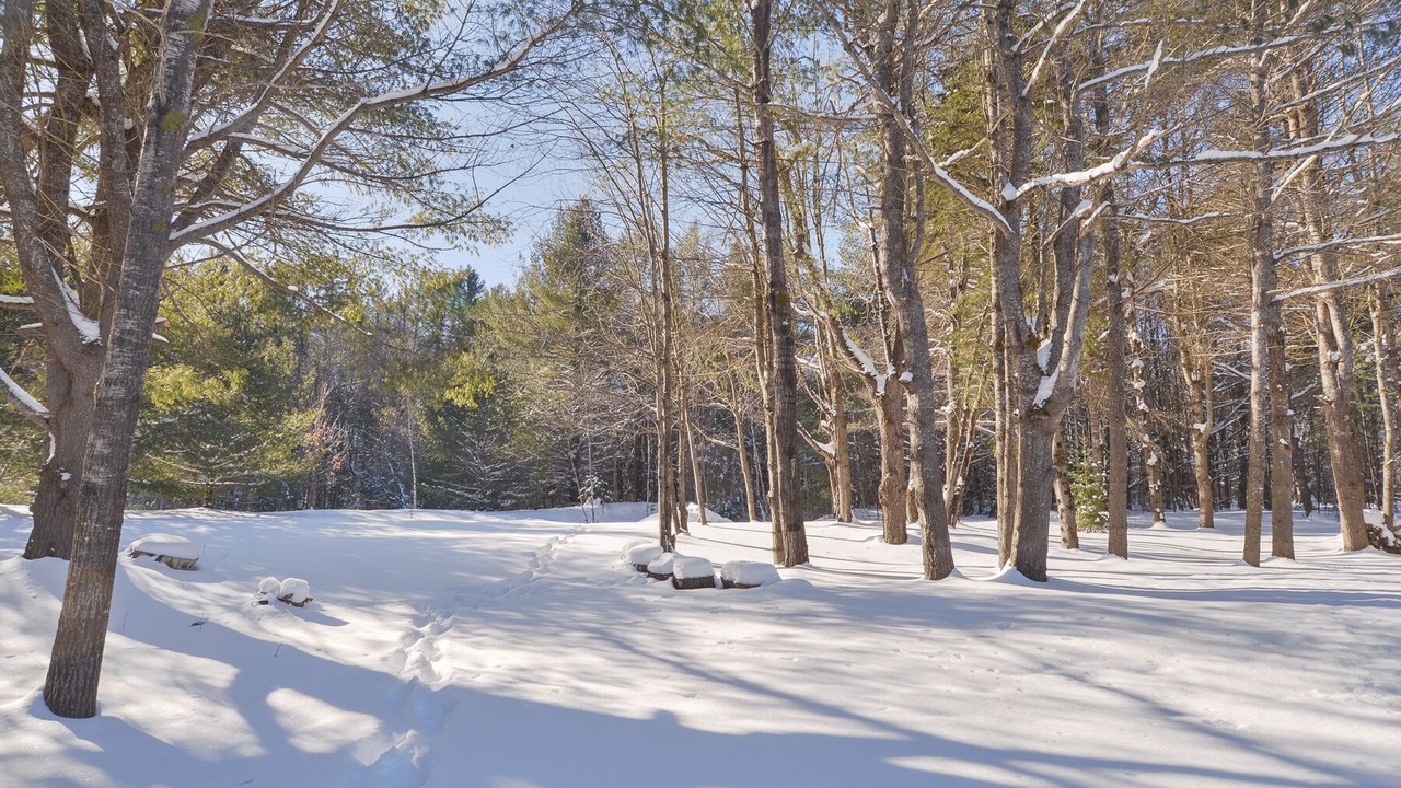 Photo of Others in Lake of Bays