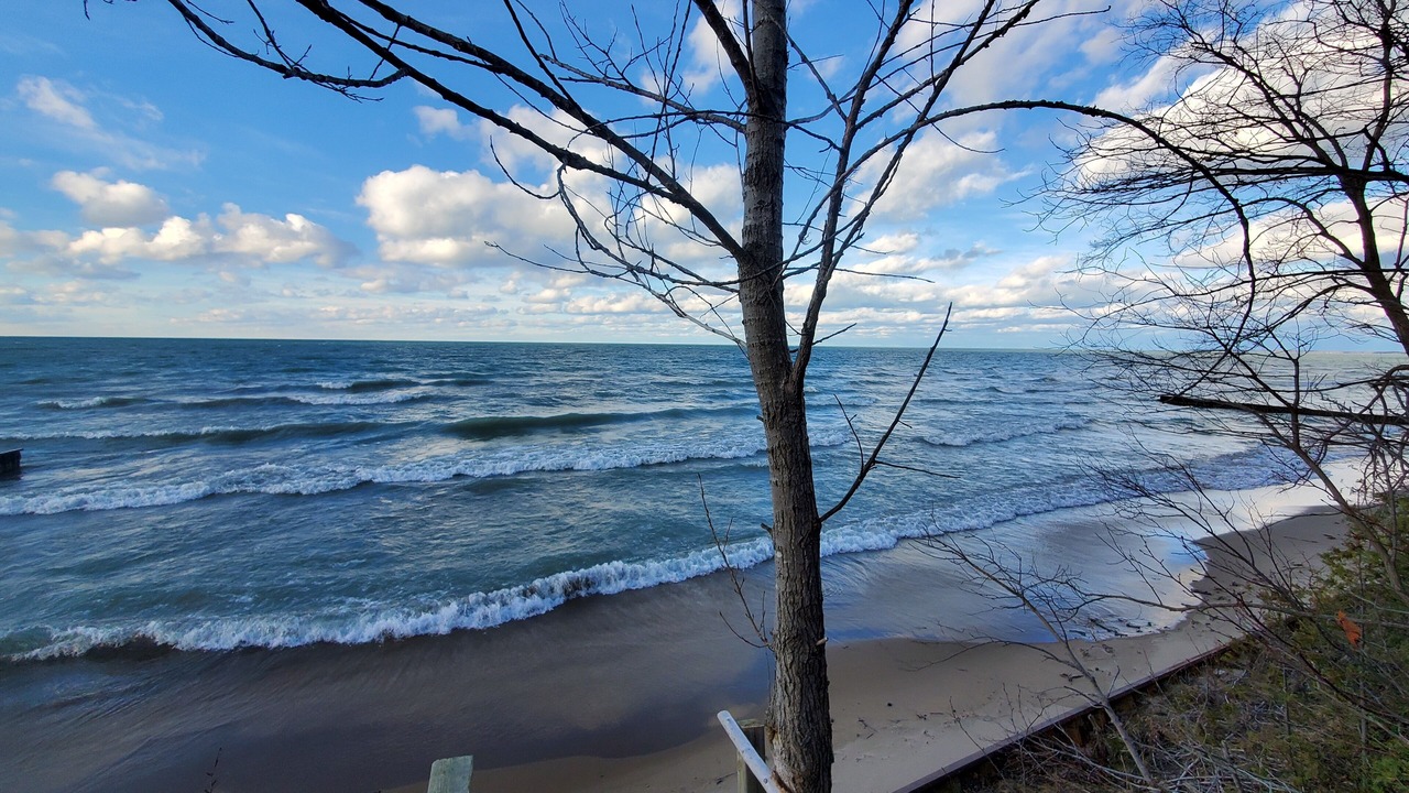 Photo of Others in Plympton-Wyoming