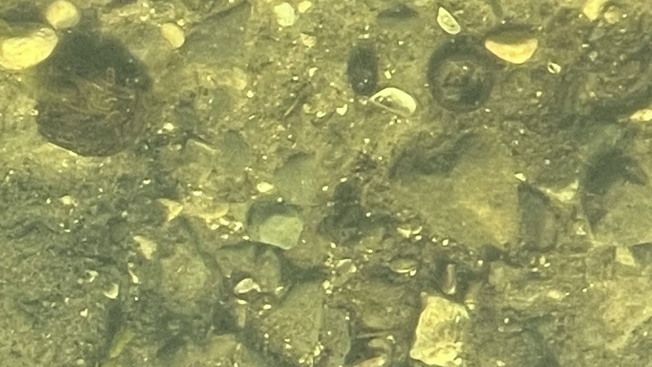 Photo of Outdoor in Birchdale