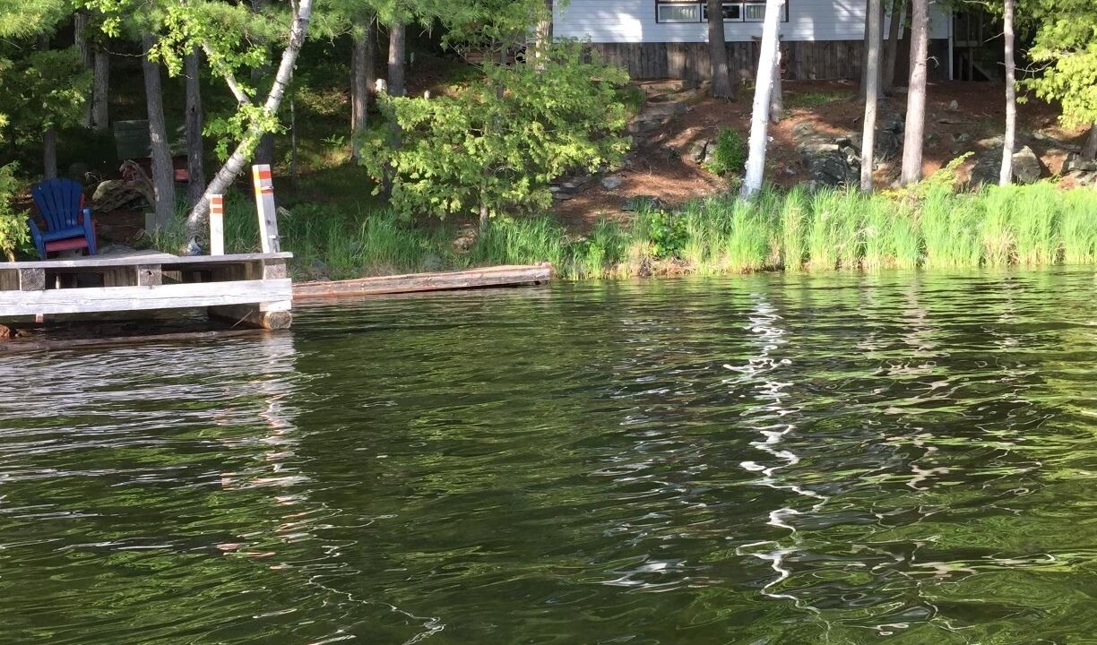 Photo of Others in Sharbot Lake