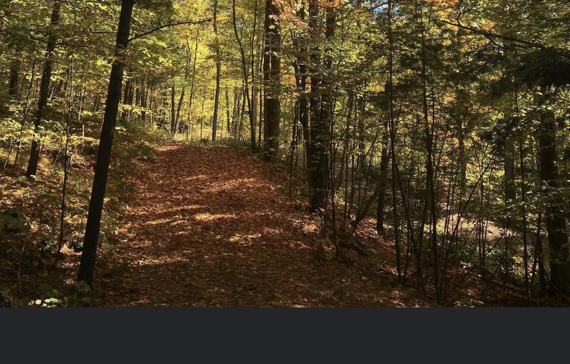 Photo of Outdoor in Sharbot Lake