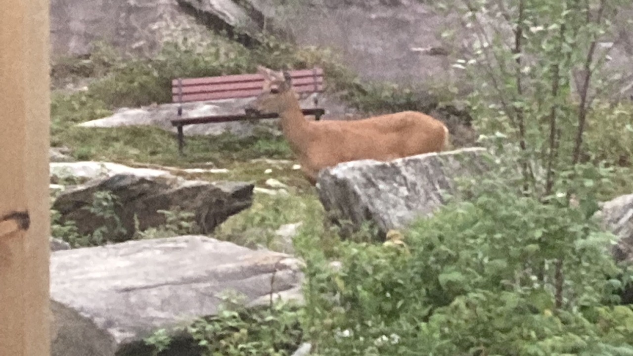 Photo of Others in Bracebridge