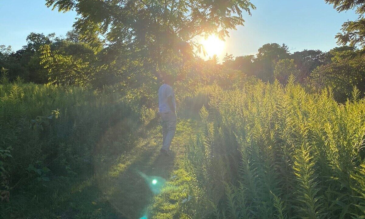 Photo of Outdoor in Pickering