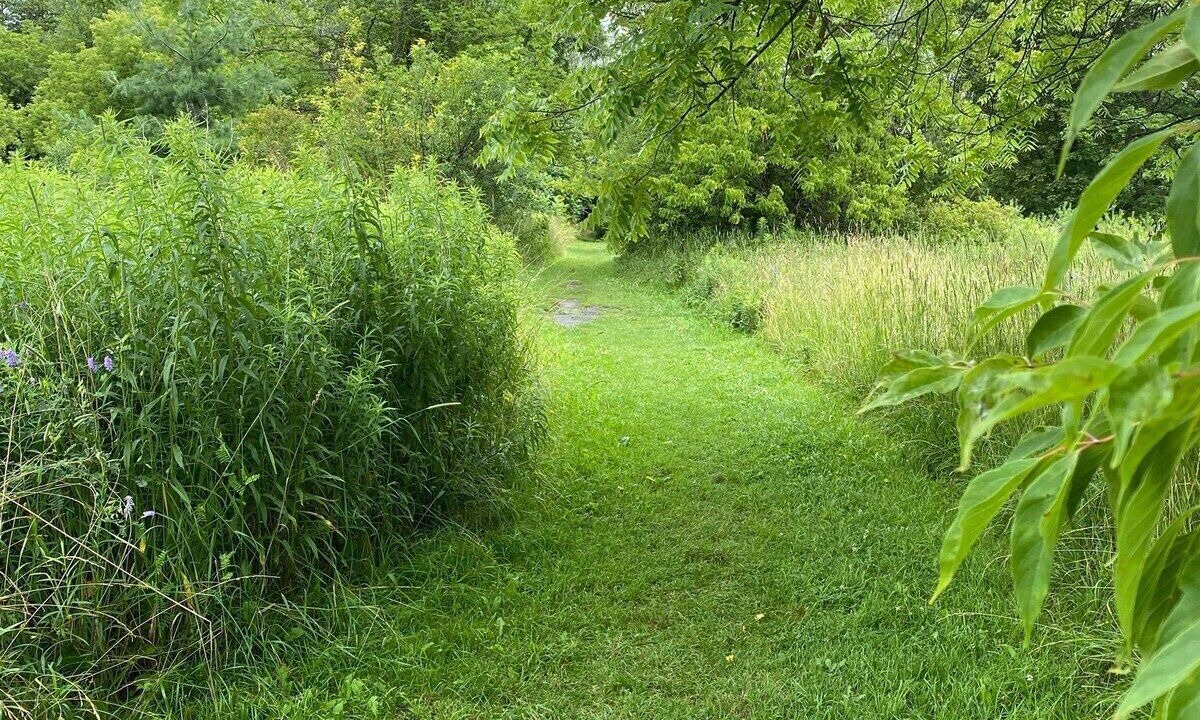 Photo of Outdoor in Pickering