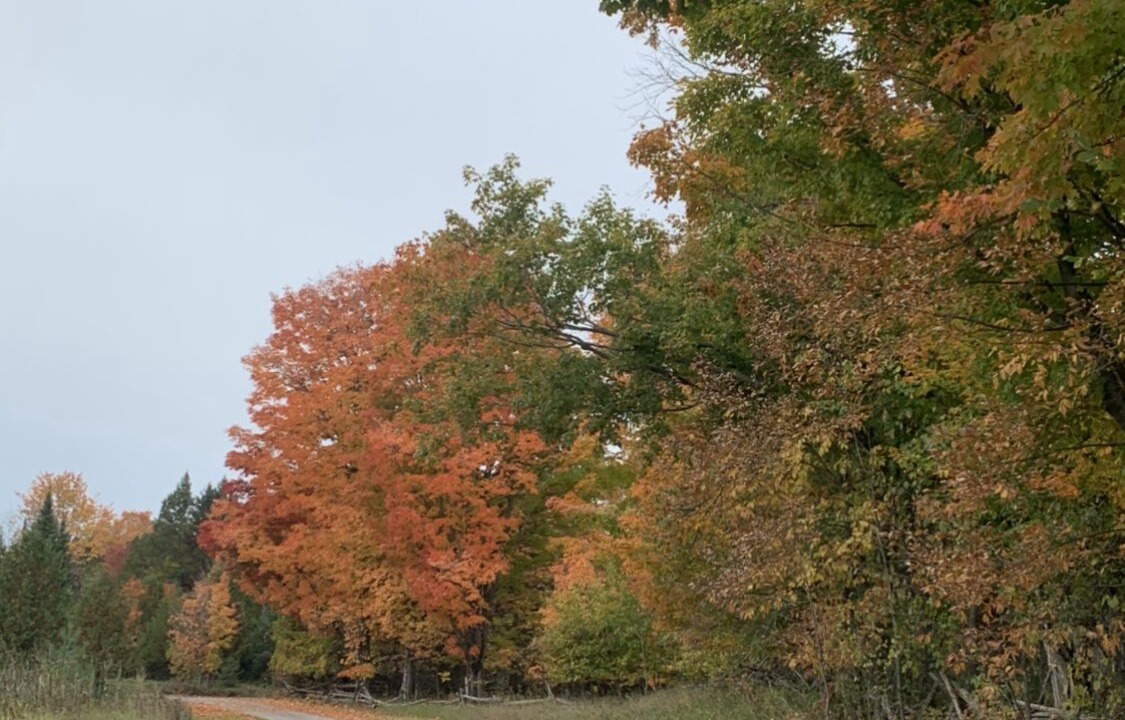 Photo of Outdoor in Havelock-Belmont-Methuen