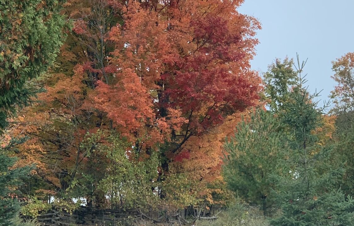 Photo of Outdoor in Havelock-Belmont-Methuen
