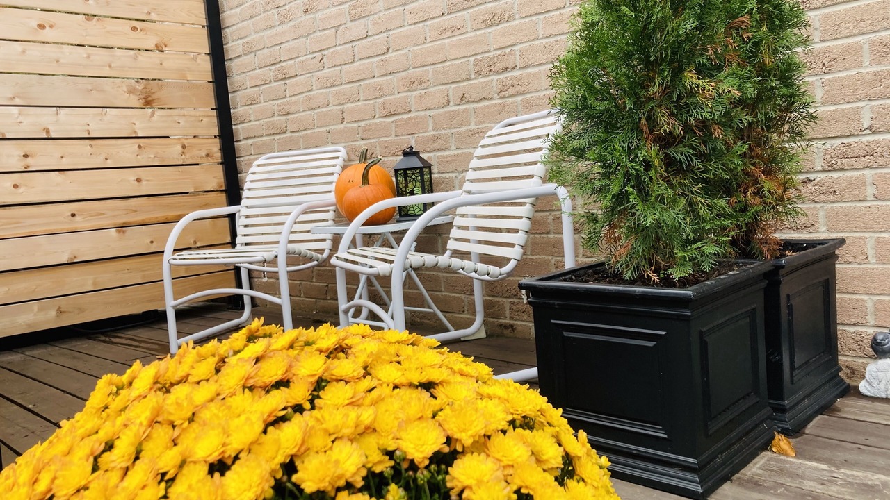 Photo of Patio Balcony in Aurora