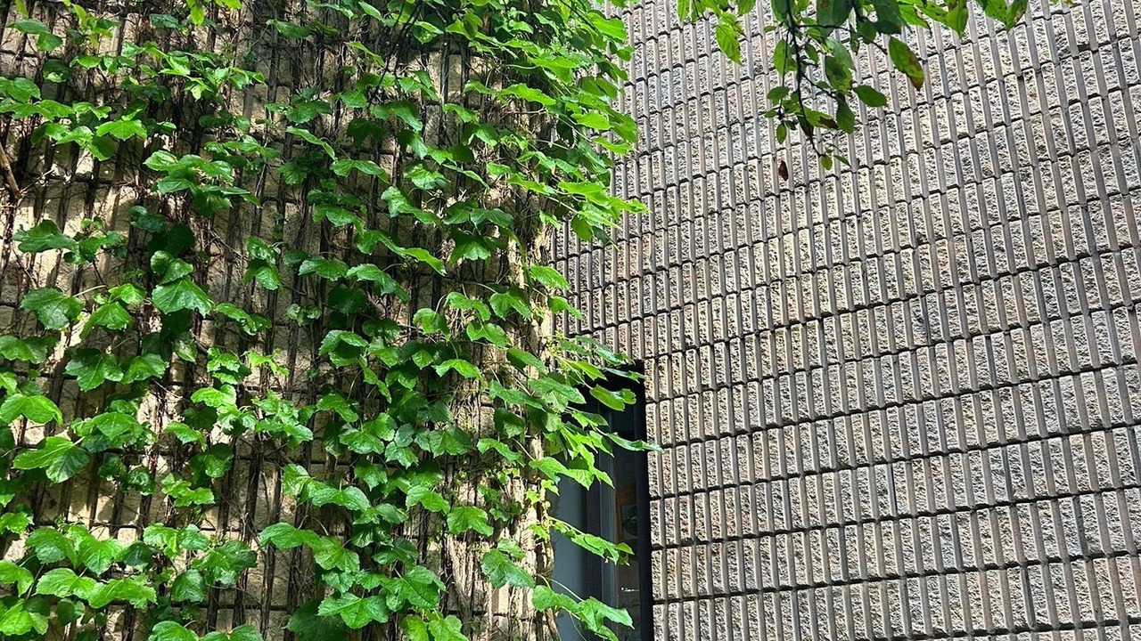 Photo of Outdoor in Richmond Hill