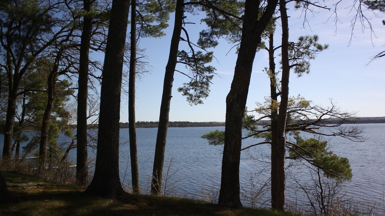 Photo of Others in Ponsford
