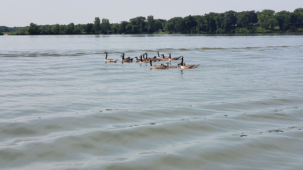 Photo of Others in Clear Lake