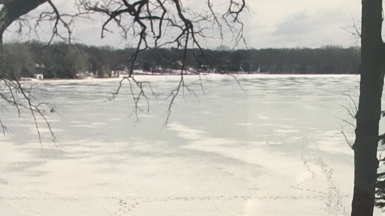 Photo of Others in Clear Lake