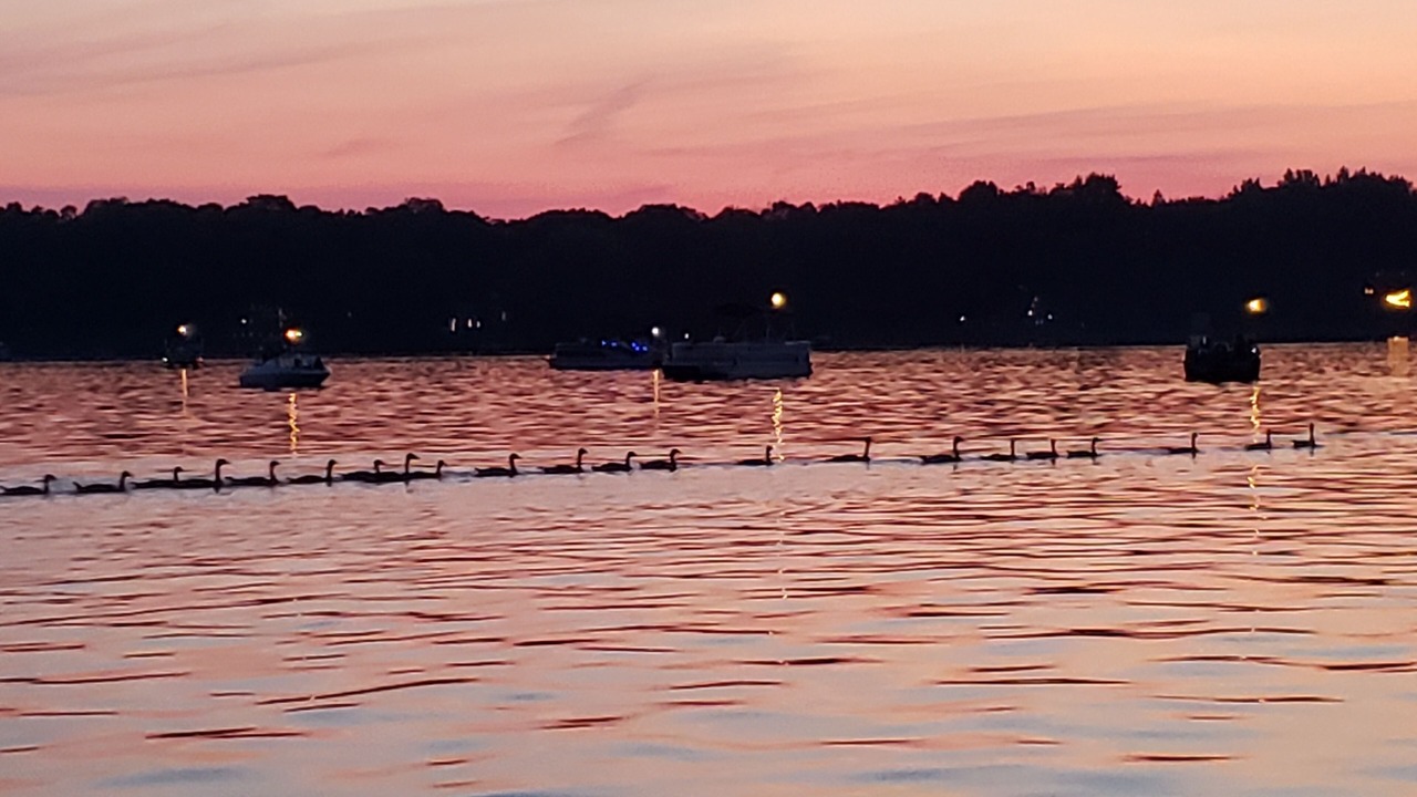 Photo of Others in Clear Lake