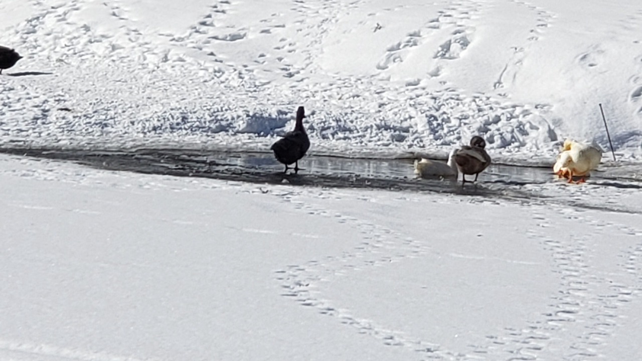 Photo of Others in Clear Lake