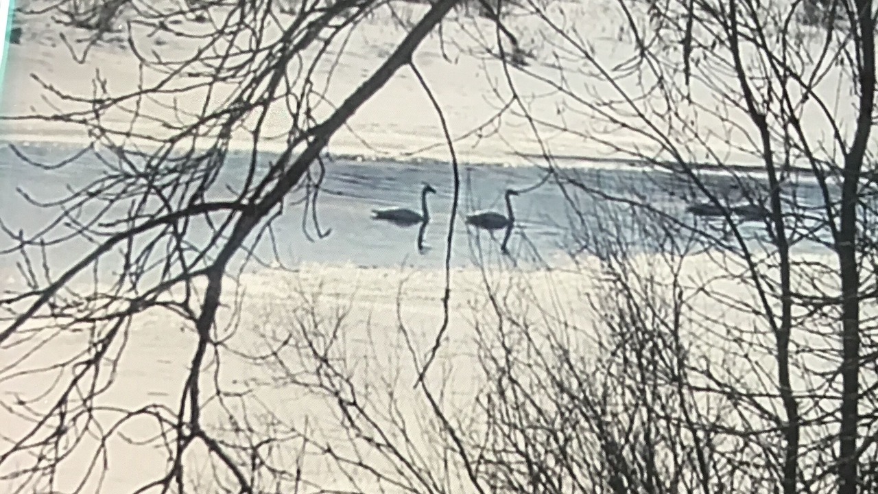 Photo of Outdoor in Clear Lake