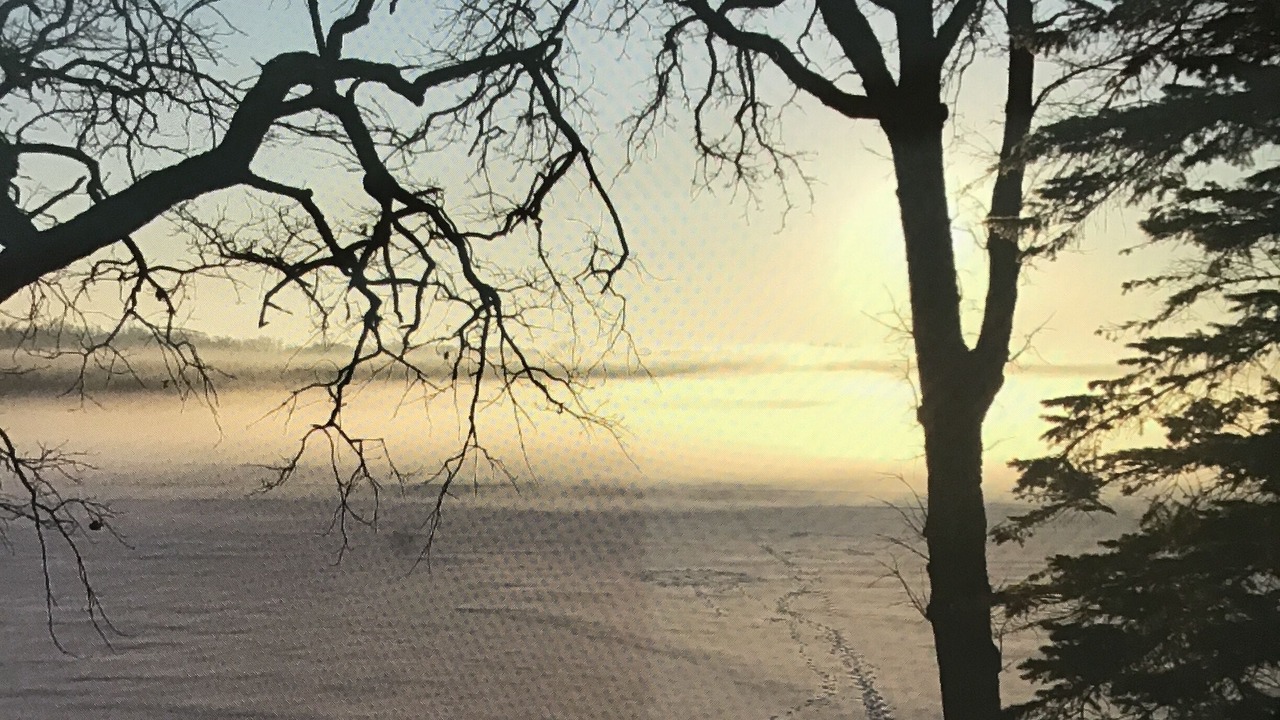 Photo of Others in Clear Lake