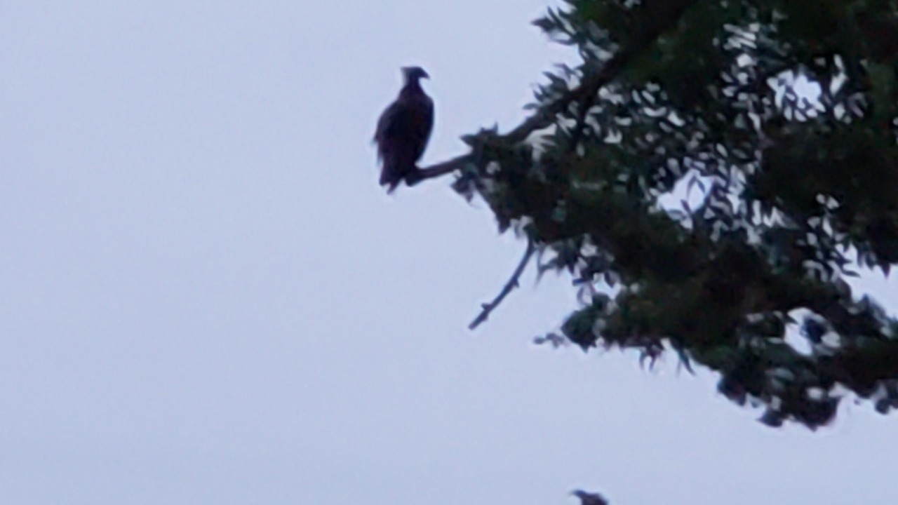 Photo of Others in Clear Lake