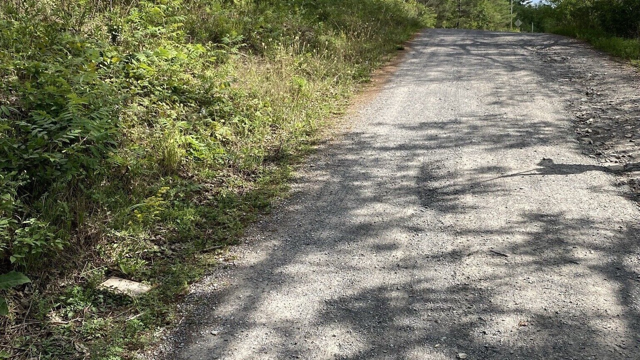 Photo of Outdoor in Havelock-Belmont-Methuen