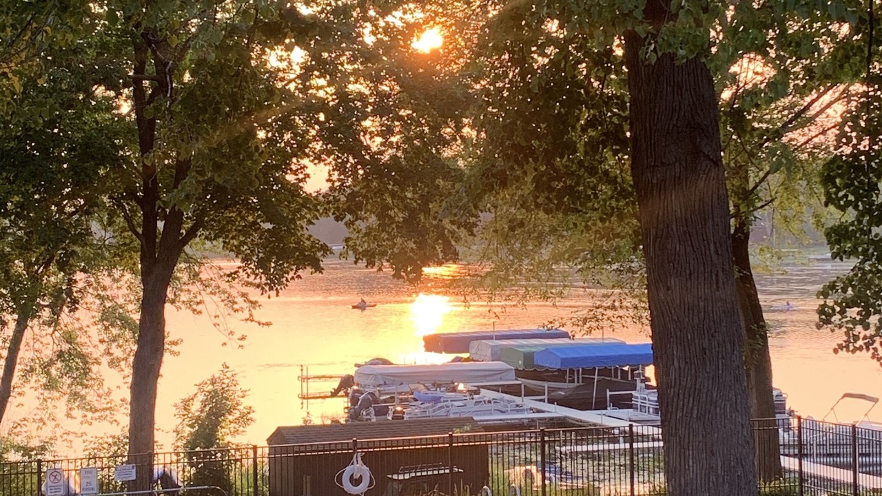 Photo of Outdoor in Annandale