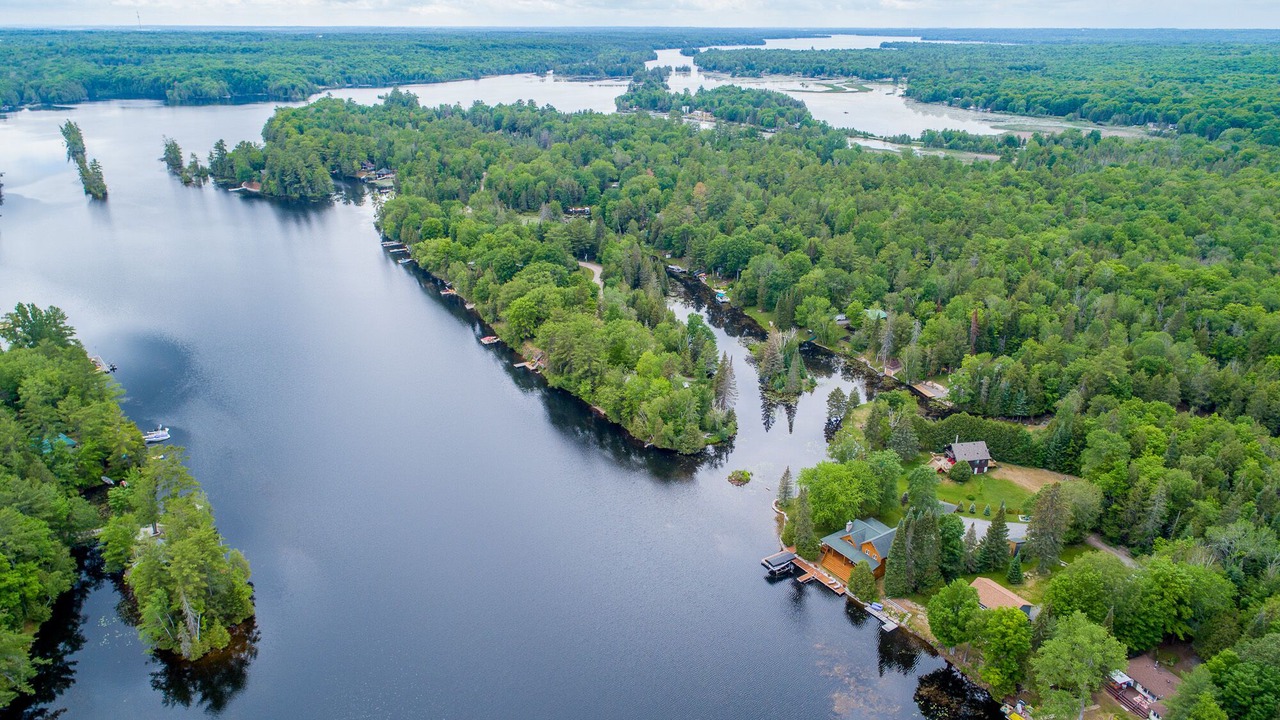 Photo of Outdoor in Trent Lakes