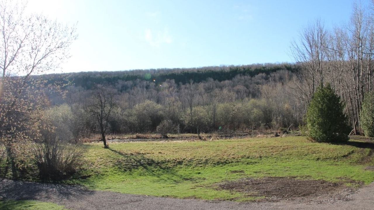 Photo of Others in Georgian Bluffs