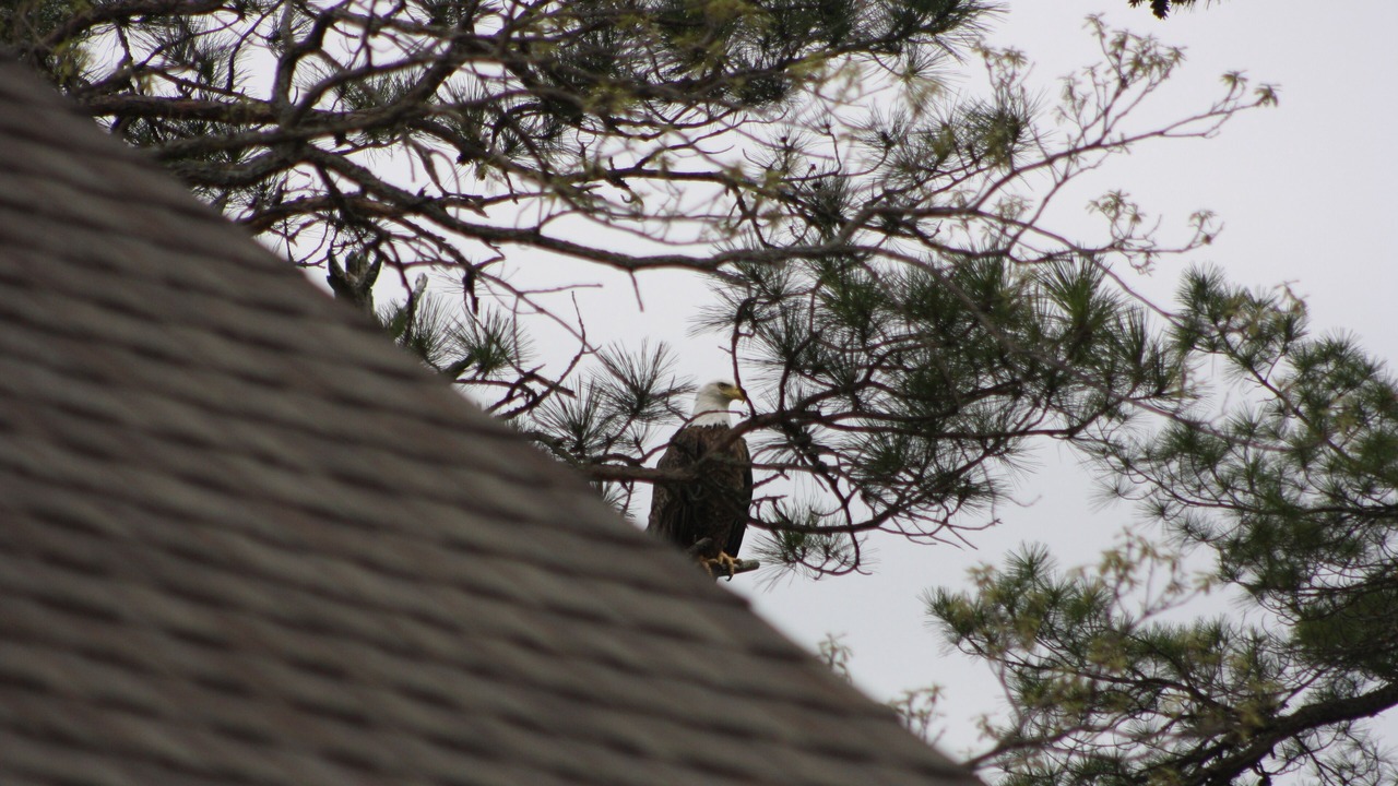 Photo of Others in Ponsford