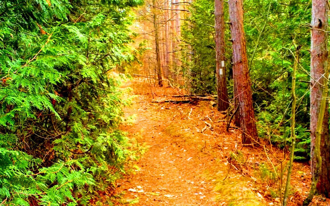 Photo of Outdoor in Lambton Shores
