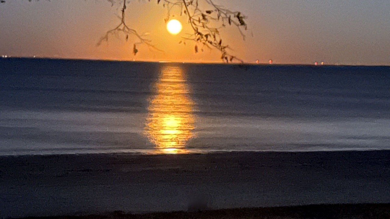 Photo of Others in Kettle Point 44