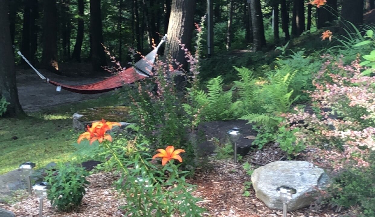 Photo of Outdoor in Minden