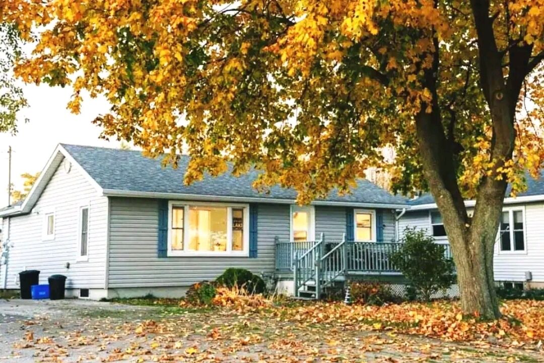 Photo of Outdoor in Selkirk