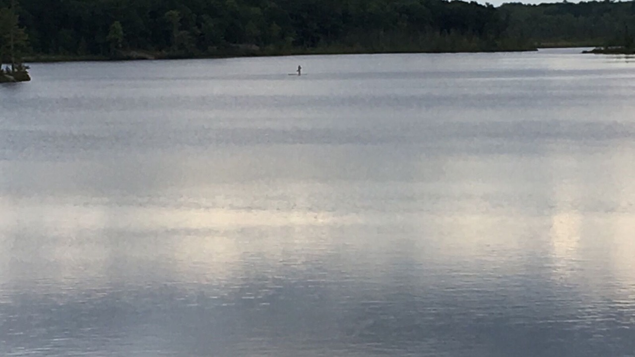 Photo of Others in Severn
