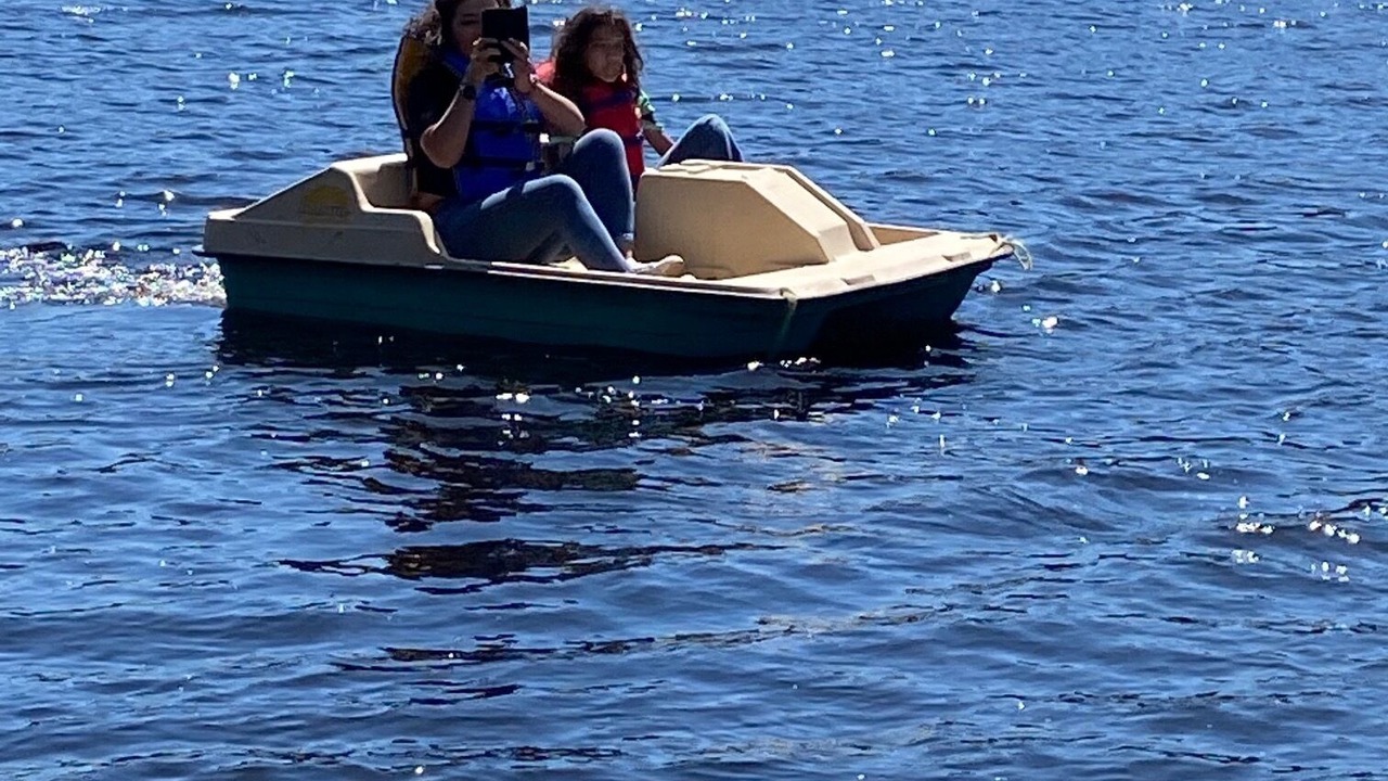 Photo of Others in Petawawa
