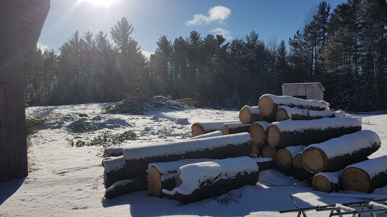 Photo of Outdoor in Petawawa