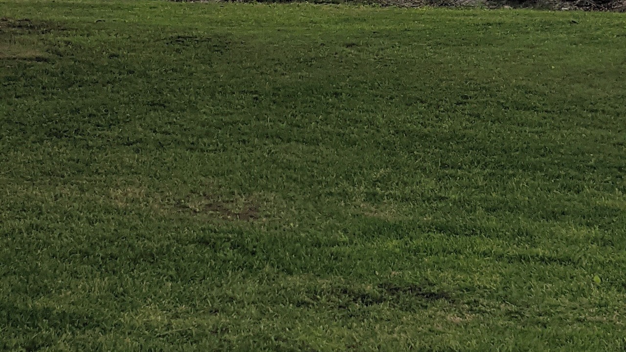Photo of Outdoor in Warroad